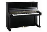 雅马哈YU118DN 23300(起)元